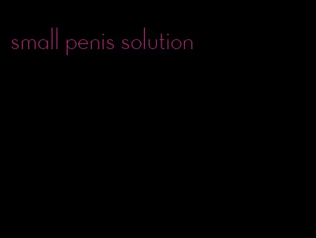 small penis solution