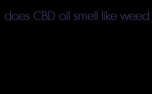 does CBD oil smell like weed