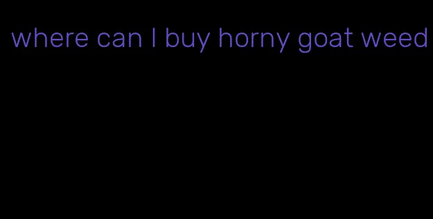 where can I buy horny goat weed