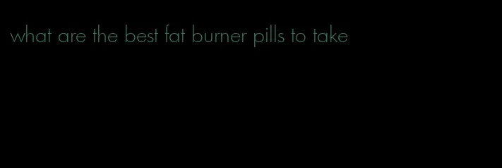 what are the best fat burner pills to take