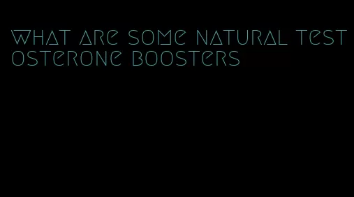 what are some natural testosterone boosters