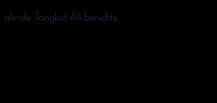 alicafe Tongkat Ali benefits