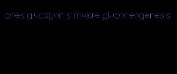 does glucagon stimulate gluconeogenesis