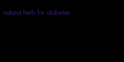 natural herb for diabetes