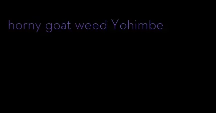 horny goat weed Yohimbe