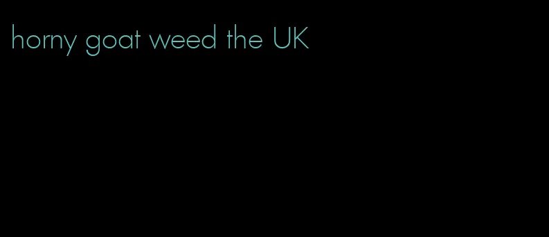 horny goat weed the UK