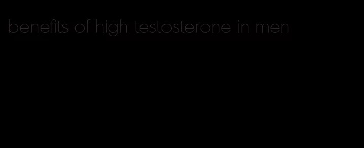 benefits of high testosterone in men