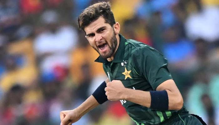 سلیکٹر کو "یس سر" نہ کہنا شاہین کو مہنگا پڑ گیا