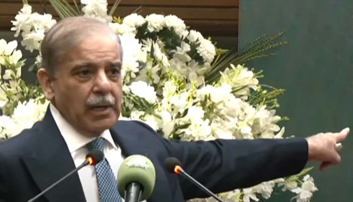 ہمیں آج اپنی صفوں میں اتحاد کی جتنی ضرورت ہے پہلے کبھی نہیں تھی: وزیرِ اعظم شہباز شریف