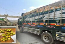 خیبرپختونخوا سے پی او آر کارڈ ہولڈر افغان شہریوں کو واپس جانے کی ہدایت