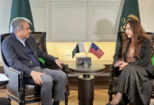 وزیر داخلہ سے قائم مقام امریکی سفیر کی ملاقات؛ پاکستان کو مطلوب افراد سے متعلق ایسا انکشاف کہ آپ یقین نہیں کریں گے!