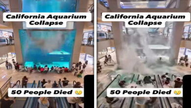 کیلیفورنیا ایکویریم حادثے کی خبر جعلی نکلی، سوشل میڈیا پر گمراہ کن ویڈیو وائرل