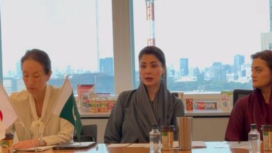 وزیراعلیٰ پنجاب مریم نواز شریف کی جاپانی کمپنی موریناگا کو ڈیری سیکٹر میں سرمایہ کاری کی دعوت