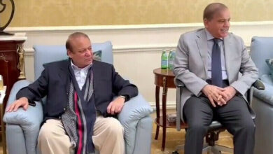 نواز شریف کی سیلاب متاثرین کی فوری امداد کی ہدایت، وزیراعظم سے جاتی عمرہ میں ملاقات