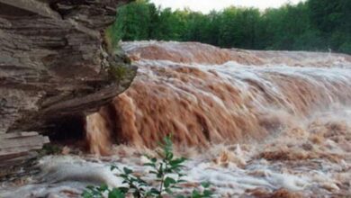بیشتر میدانی علاقوں میں موسم گرم، چند مقامات پر بارش کی پیشگوئی، نوشہرہ میں سیلاب
