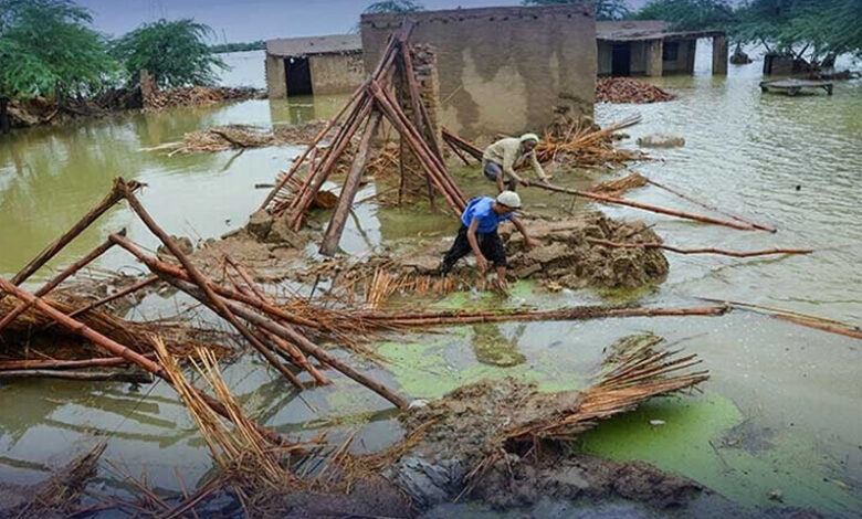 ڈیرہ اسماعیل خان میں طوفانی بارش نے تباہی مچا دی، چھتیں گرنے سے 5 افراد جاں بحق، 60 سے زائد زخمی