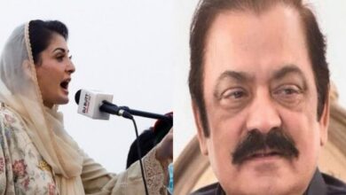 مریم نواز کی قیادت میں پنجاب میں پارٹی کی مقبولیت میں اضافہ ہو رہا ہے: رانا ثناءاللہ
