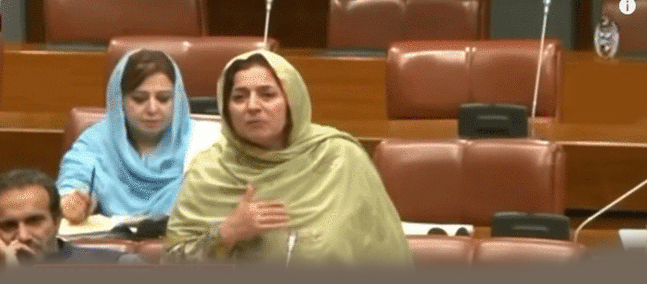 "خیبرپختونخوا ڈوبا ہوا ہے، جنازوں کو اٹھانے والا کوئی نہیں،سینیٹ میں فلک ناز چترالی ایوان میں رو پڑیں