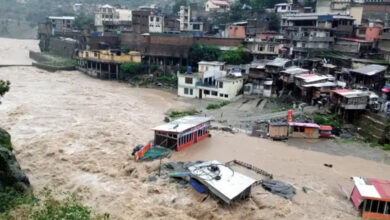 خیبرپختونخوا میں بونیر کے بعدصوابیمیںکلاؤڈ برسٹ سے تباہی، 15 افراد جاں بحق، امدادی کارروائیاں جاری
