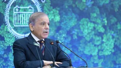 وزیر اعظم شہباز شریف ایک روزہ دورے پر گلگت پہنچ گئے