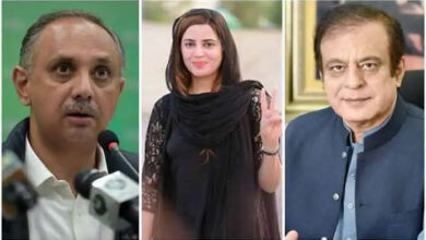 رانا ثنا اللہ کے گھر حملہ کیس: عمر ایوب، شبلی فراز، زرتاج گل سمیت 59 ملزمان کو 10،10 سال قید کی سزا