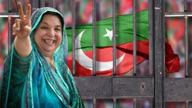 ڈاکٹر یاسمین راشد کی سزا کے خلاف لاہور ہائیکورٹ میں اپیلیں دائر