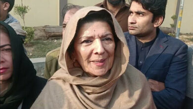 "میرے بیٹوں کو گرفتار کر کے بانی پی ٹی آئی پر دباؤ ڈالا جا رہا ہے" — علیمہ خان کا الزام